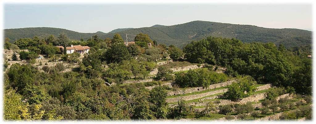 Walking in Cévennes - terraces