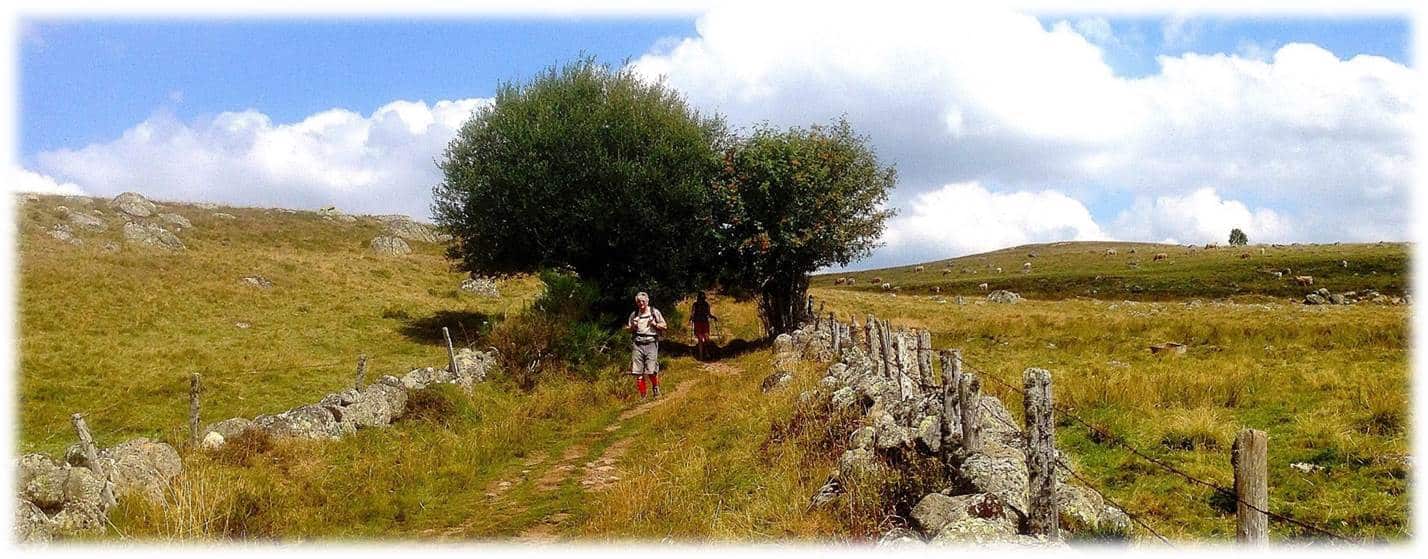 walking holidays in France - St James Way