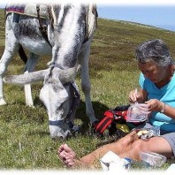 Lunchtime for a woman and her donkey - Donkey trekking Stevenson