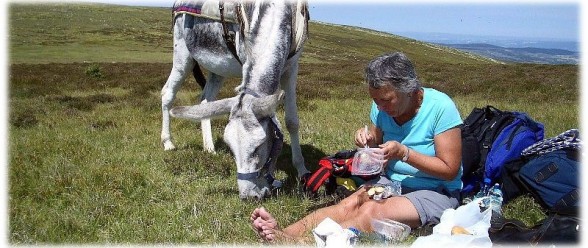 Lunchtime for a woman and her donkey - Donkey trekking Stevenson